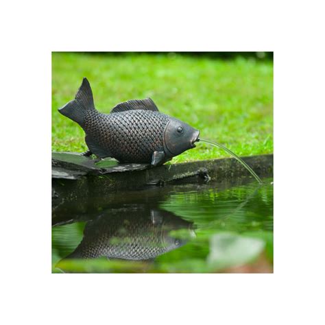 Ubbink Fontaine De Jardin Cracheur Poisson Prix Carrefour