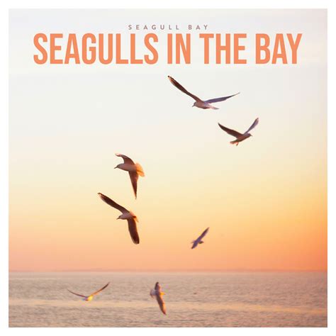 Common Birdsongs Song And Lyrics By Seagull Bay Spotify