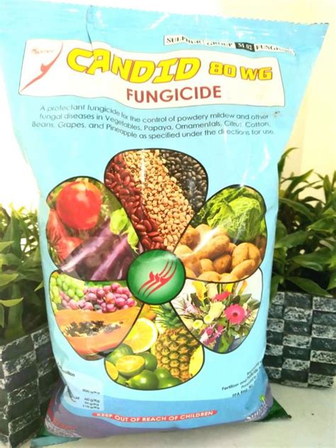 Candid Wg Fungicide Kl Lazada Ph