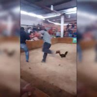 V Deo Karma Gallito Se Revela Contra Don Que Lo Quer A Poner A