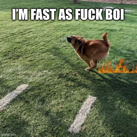 I'm Fast As F Boi Meme Original