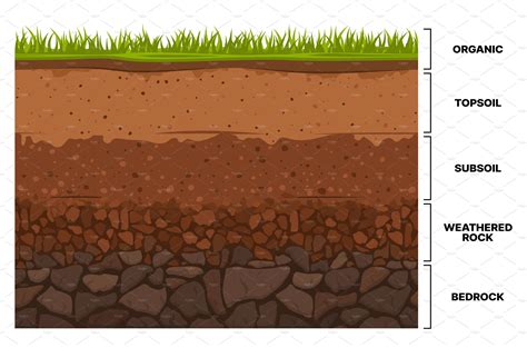 Soil Layer Infographic Earth Subsoil Education Illustrations