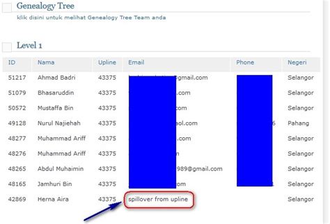 Apa Perlu Buat Untuk Dapatkan Prospek Join Sistem Autodownline Tone Excel