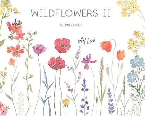 Watercolor Wildflowers Clipart Botanical Floral Wild Flowers Etsy