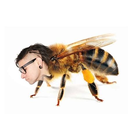 Obligatory Skrillex Joke By THE STRUGGLE IS REAL Fuck Bees Know