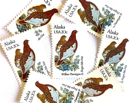 Alaska State Bird Name