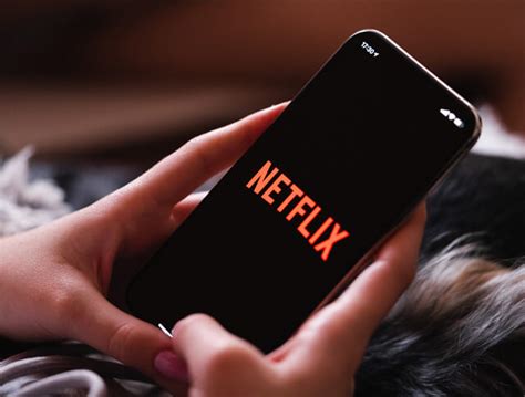 Can You Watch Netflix Without Internet Finddiffer