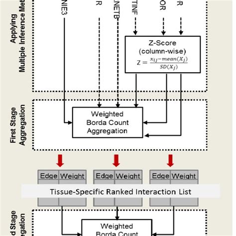 Core Transcriptional Regulatory Network In Cows A Graphical