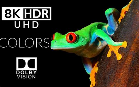 K Hdr Dolby Vision Demo Stunning Vivid Colors