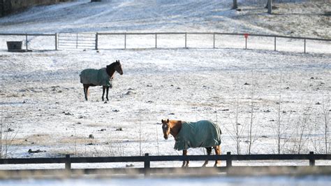 School closings, early dismissals in Nashville and Middle Tennessee