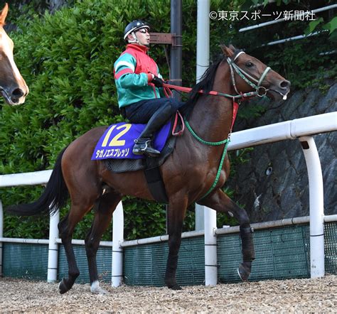 東スポ競馬 On Twitter 2015年 5kffqxvt9a Twitter