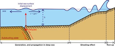 Adriatic Tsunami Catalogue