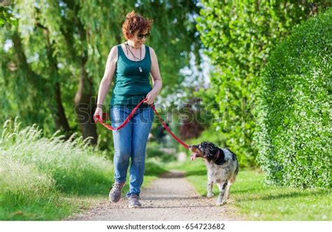 Mature Woman Walking Brittany Dog Leash Stock Photo 654723682