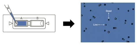 Eve Cell Counting Slide Product Information