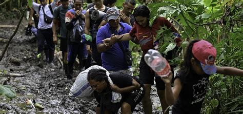 Panamá Prevé Nuevo Récord De Migrantes Que Cruzan Selva Del Darién