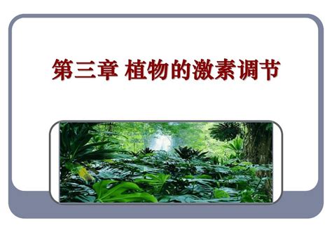 31植物的激素调节word文档在线阅读与下载无忧文档