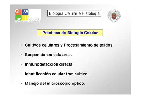 Pdf Pr Cticas De Biolog A Celular Cultivos Celulares Y Eprints Ucm