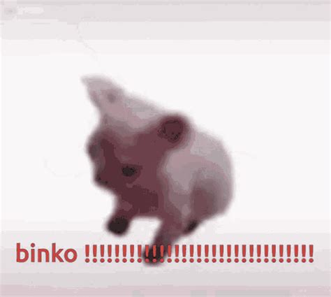 Binko Bingus Binko Bingus Dance Discover Share GIFs