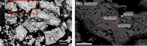 a image en composition obtenue par microscopie électronique à