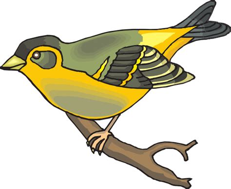 Goldfinch Clipart 20 Free Cliparts Download Images On Clipground 2024