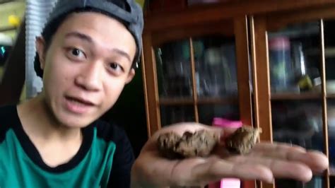 Cara Membuat Tai Palsu Diy Fake Poop Youtube