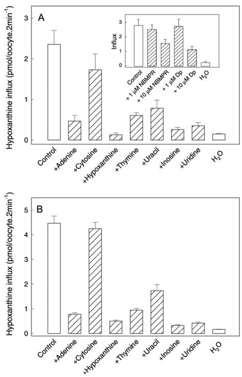 Inhibition Of Hypoxanthine Uptake By Nucleobases Nucleosides NBMPR