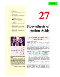 Bosintesis De Amino Cidos Apuntes De Bioqu Mica Docsity