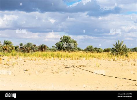 Bahariya Oasis, Egypt Stock Photo - Alamy