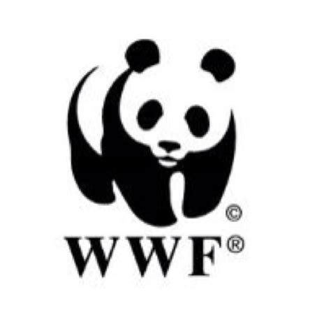 wwf  wwf official tumblr blog tumlook