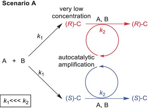 Scenario A: classical autocatalysis. In a first stochastic reaction, A... | Download Scientific ...