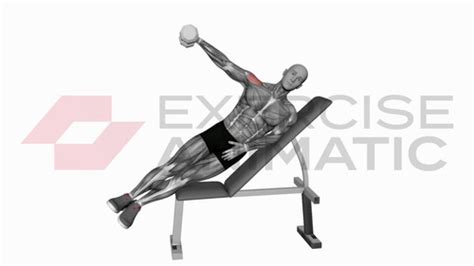 Dumbbell Incline One Arm Lateral Raise Exercise Animatic