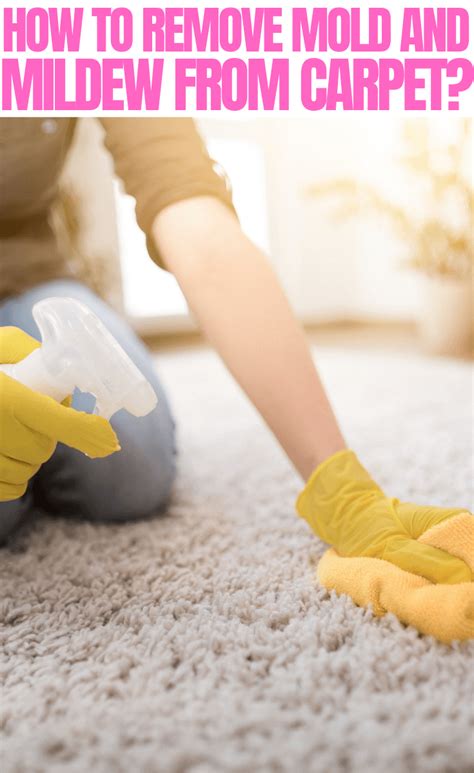 Tips On How To Remove Mold And Mildew From Carpet