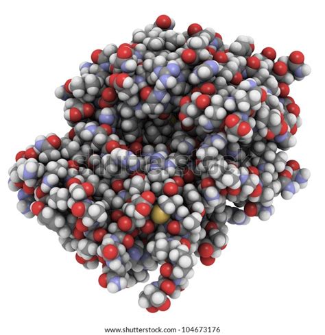 Vaccine Against Ricin Poisoning Chemical Structure Stock Illustration ...