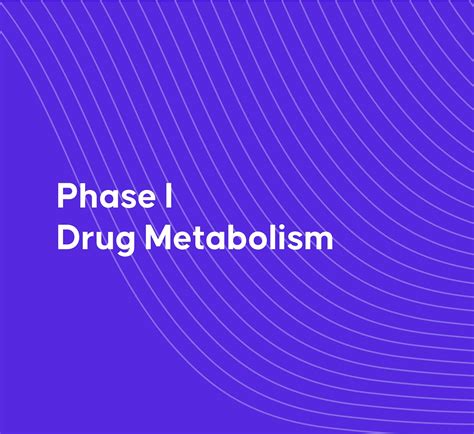 Phase I Drug Metabolism