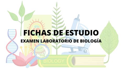 Solution Fichas De Estudio Examen Laboratorio De Biolog A Studypool