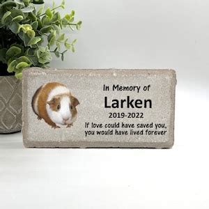 Guinea Pig Memorial Stone Personalized Pet Keepsake Pet Loss Gift