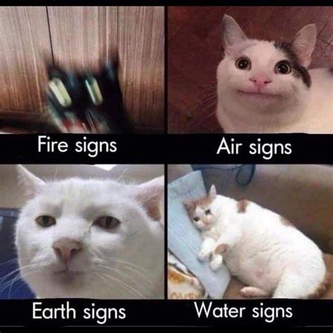 The “fire signs” one is my favorite. : r/astrologymemes