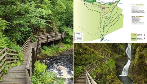 Glenariff Forest Park Walks: 4 to Try in 2025