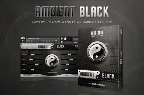 Ambient Black Big Fish Audio Bestservice En