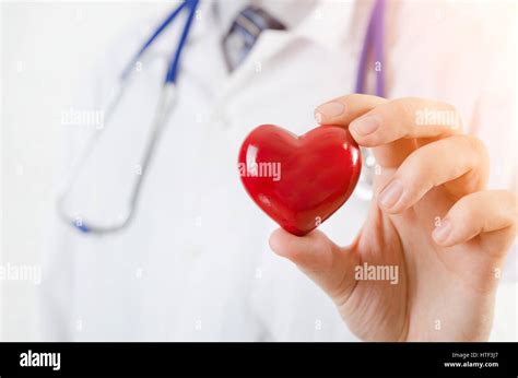 Cardiólogo holding modelo 3D del corazón corazón doctor en medicina