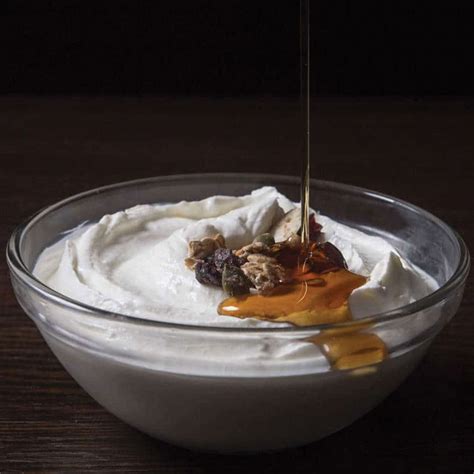 Authentic Greek Yogurt & ice-cream – Global Food Corridors