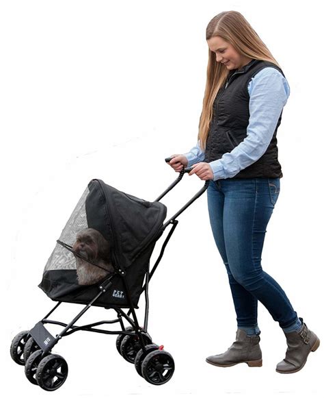 8 Best Cat Strollers Your Cat Will Simply Love [dec 2020]