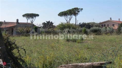 Terreni In Vendita Nel Quartiere Santa Maria Di Galeria Di Roma Casa It