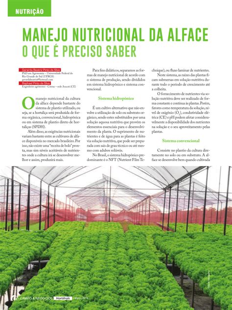 PDF MANEJO NUTRICIONAL DA ALFACE O QUE É PRECISO SABER