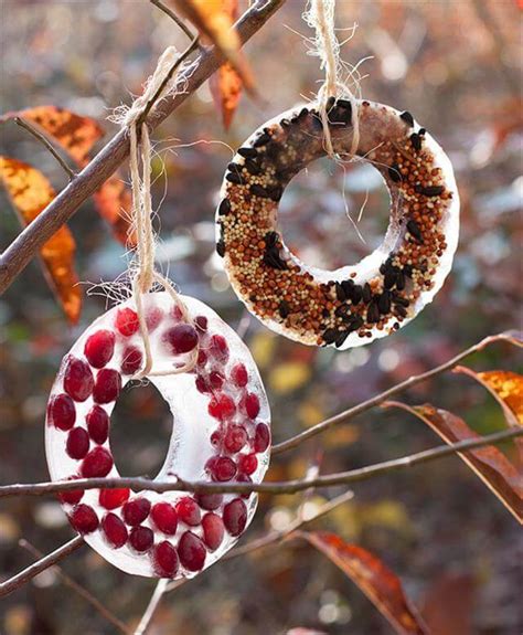 8 DIY Homemade Birdseed Wreath