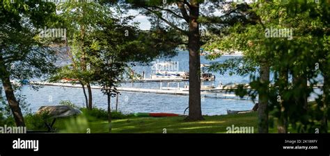 Summer At The Lake Trees And Water Craft And Boats And Pontoons And A