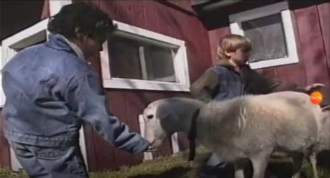 Blue S Clues The Grow Show Farm Blue S Clues Photo 44637438