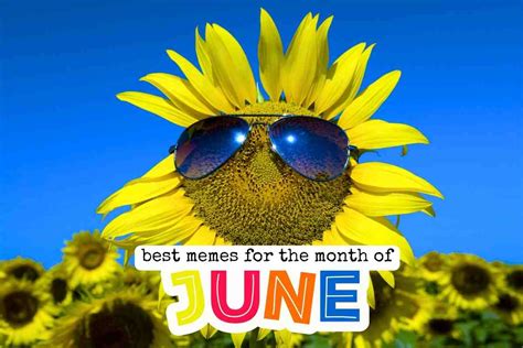 June Memes 2024 - Funny Images About This Summer Month