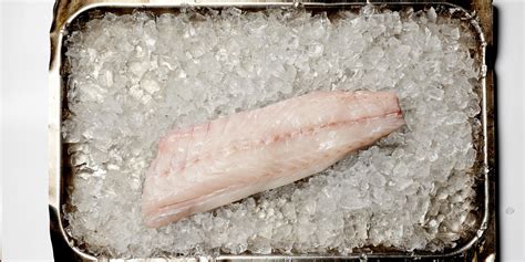 Sea Bass Fillet Recipes - Great British Chefs