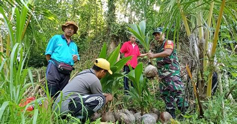 Gerakan Penanaman Pohon Serentak Di Desa Seluruh Indonesia Babinsa